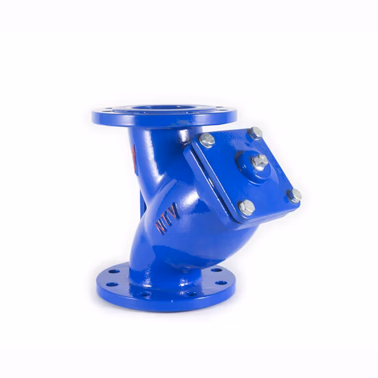 Filtro de brida tipo Y (FLANGE END) Pn16 Acero inoxidable 304 316