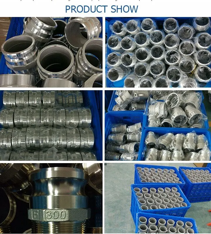 PP Camlock Coupling Pipe Connectors Hose Fittings Type a B C D E F Dp DC