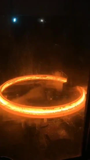 Brida soldada con autógena del zócalo del acero inoxidable del acero inoxidable del carbono del tubo industrial de la fuente de la fábrica