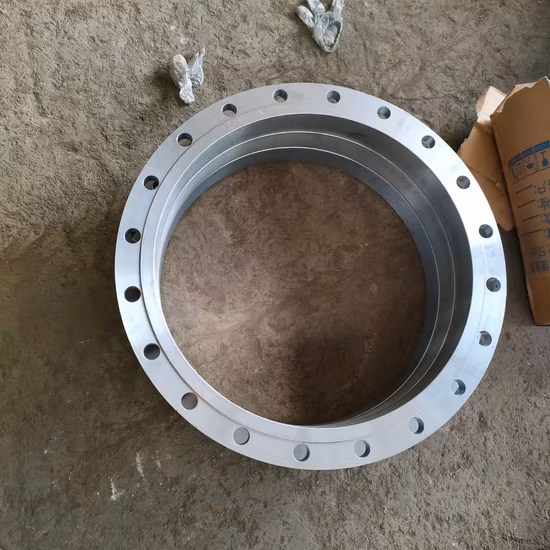 DN250 Clase 300 Bridas de cuello de soldadura de acero forjado Anillo forjado Brida Ss